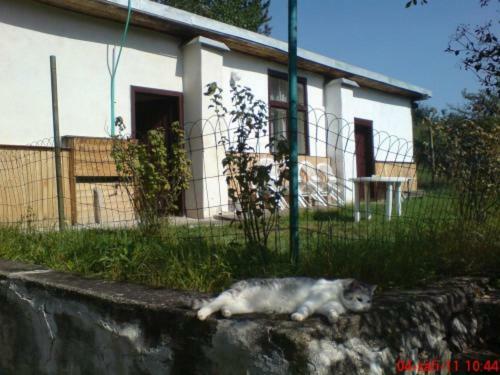 Pronajem Pokoju Belle Vue Apartment Vranov nad Dyji Luaran gambar